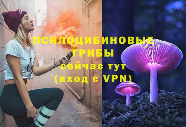 гидропоника Алзамай