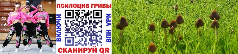 ОМГ ОМГ ТОР  Малоархангельск  Галлюциногенные грибы Magic Shrooms 